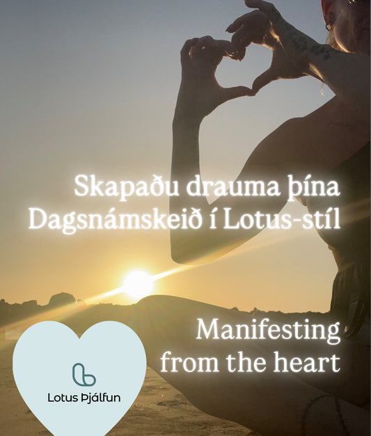 Skapaðu drauma þína- Dagsnámskeið